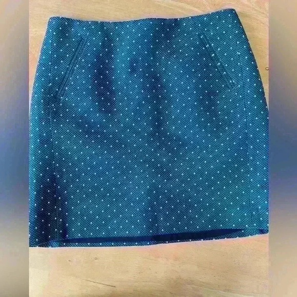 LOFT Skirt With Inside Lining -B5 - Picture 1 of 8